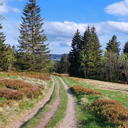 Plešivec Apartmán Abertamy