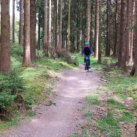 Plešivec * Abertamy